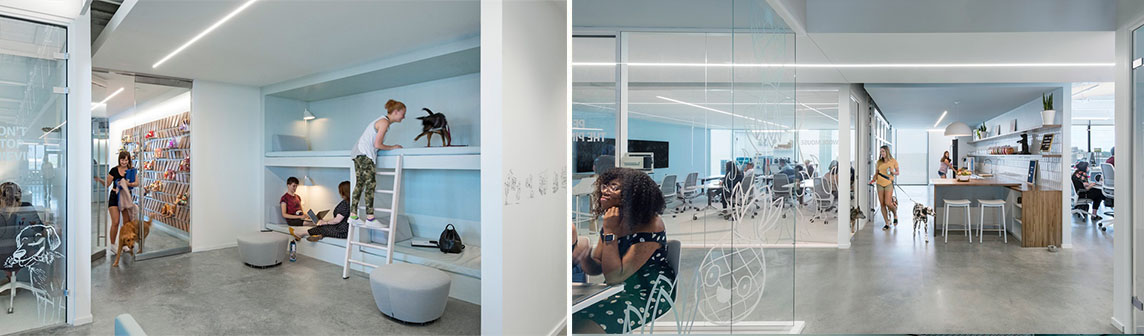 ����w66(�й���)_���������콢