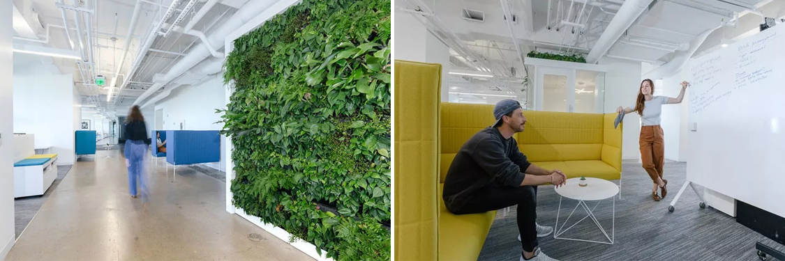 ����װ����ƹ�˾