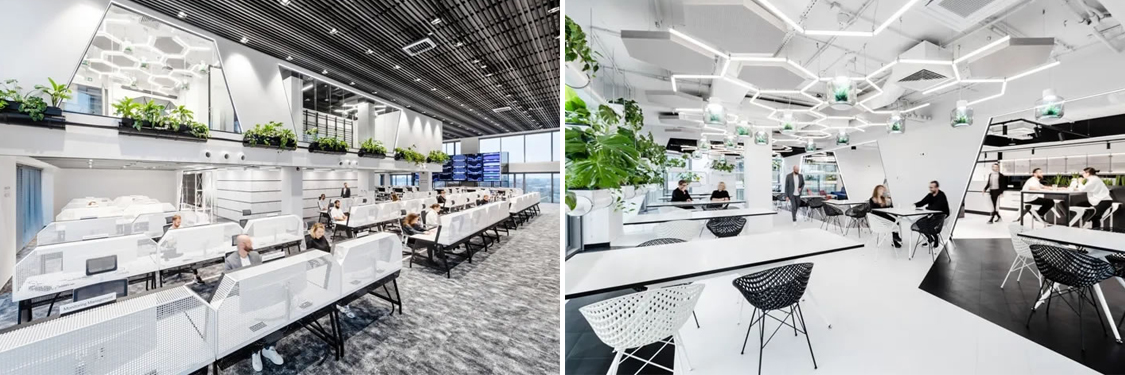 �칫����װ�����