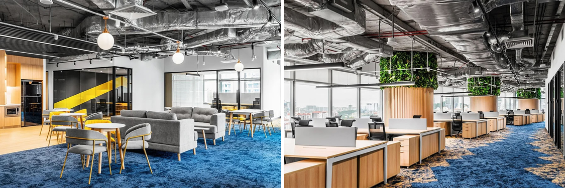 ������������w66�ٷ���վװ����ƹ�˾ͼ��